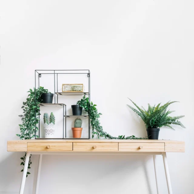✨ 5 curiosidades sobre el orden que no sabías (y te van a sorprender):

📦 1. El orden reduce el cortisol.
Según estudios, vivir en un espacio caótico eleva la hormona del estrés. Mantener el orden calma el sistema nervioso.

🧠 2. Tu cerebro ama el orden.
El desorden “satura” la corteza prefrontal, dificultando tomar decisiones. Por eso ordenar despeja la mente.

⏳ 3. Perdemos hasta 55 minutos al día buscando cosas.
Según una encuesta de IKEA, casi una hora diaria se va en encontrar objetos extraviados.

🌱 4. El orden impacta en tus hábitos.
Un entorno limpio y organizado te hace más propenso a comer sano, hacer ejercicio y dormir mejor.

🎨 5. El orden puede ser creativo.
Contrario a lo que se piensa, ordenar no mata la creatividad: libera espacio mental para nuevas ideas.

Y tú, ¿eres ordenada? 😜
.
.
.
#orden #ordenmental #psicologia #curiosidadespsicologia #calma #gestionemocional #psicologasenreus